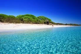 vue d'un superbe plage de sable blanc en corse du sud