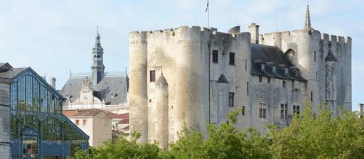 vue aérienne du donjon de niort